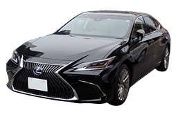 Lexus ES 300h